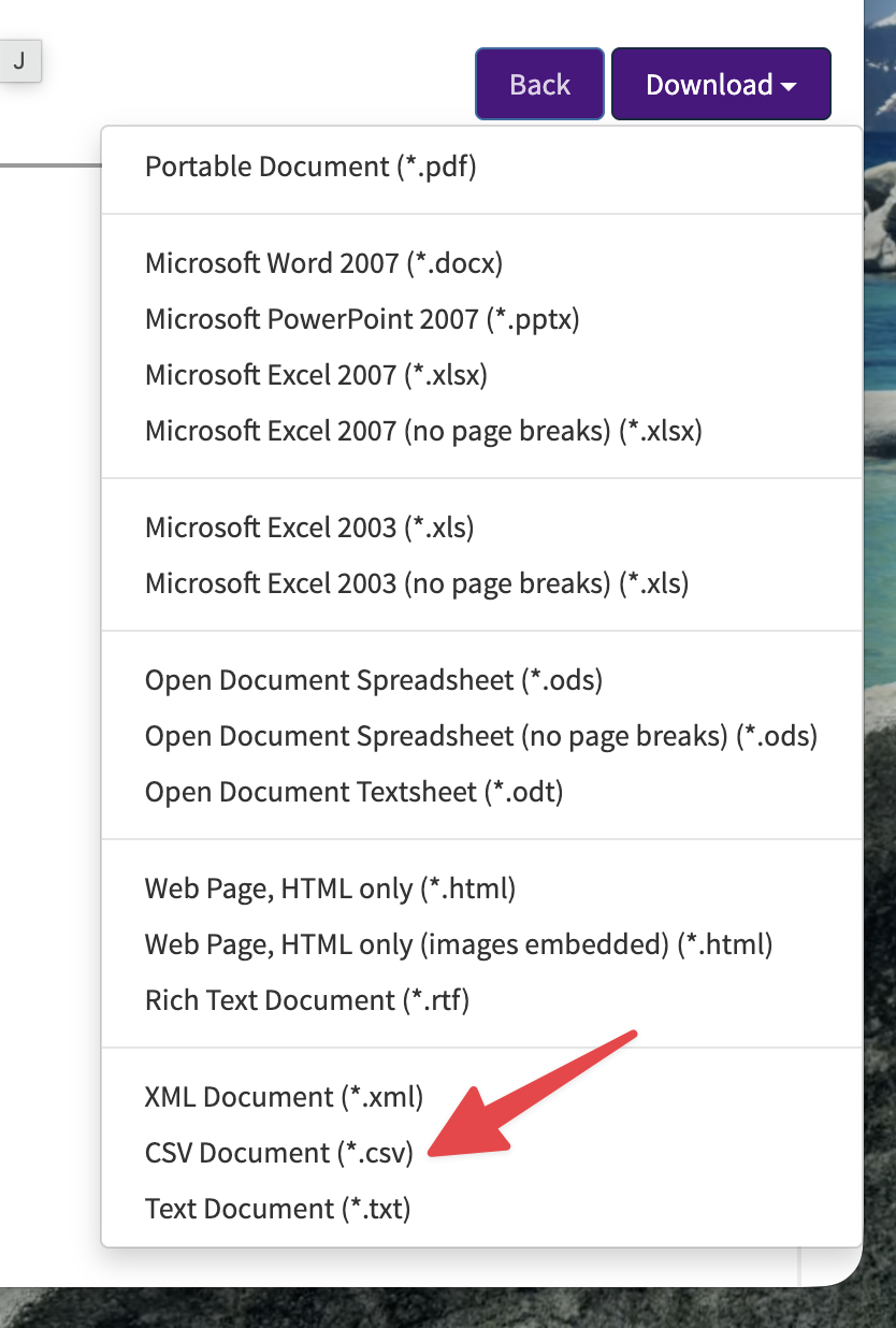 MINT Download menu with CSV Document highlighted